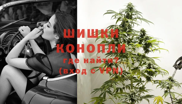 PSILOCYBIN Белоозёрский