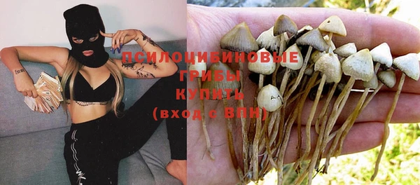 трава Баксан