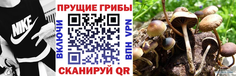 Купить закладки  Менделеевск  Галлюциногенные грибы MAGIC MUSHROOMS 